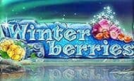 play Winterberries online slot