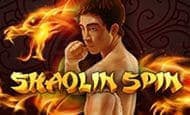 play Shaolin Spin online slot