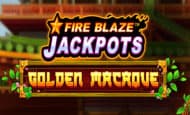 play Golden Macaque online slot