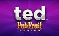 play Ted Pub Fruits Series online slot