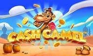 Cash Camel online slot