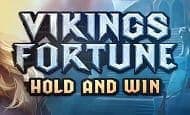 play Vikings Fortune: Hold and Win online slot