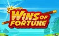 Wins of Fortune slot game