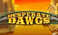 play Desperate Dawgs online slot
