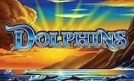 play Dolphins online slot