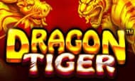play Dragon Tiger online slot