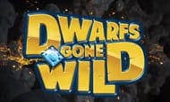 play Dwarfs Gone Wild online slot