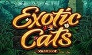 Exotic Cats online slot