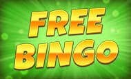 play free bingo online slot
