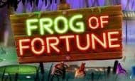 Frog of Fortune slot game