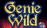 Genie Wild online slot