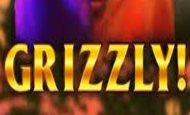Grizzly Gold slot game