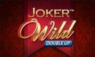 Joker Wild Double Up slot game