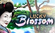 play Lucky Blossom online slot