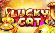 play Lucky Cat online slot