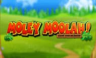 play MOLEY MOOLAH! online slot