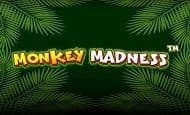 Monkey Madness slot game