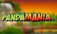 Pandamania online slot