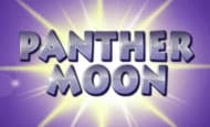 play Panther Moon online slot