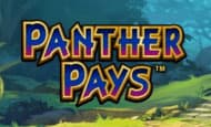 play Panther Pays online slot