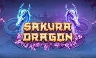 play Sakura Dragon online slot