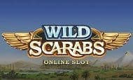 play Wild Scarabs online slot