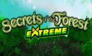 play Secrets of the Forest Extreme online slot