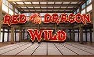 Red Dragon Wild slot game