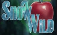 play Snow Wild online slot