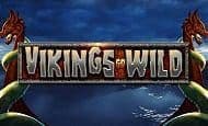 Vikings Go Wild slot game
