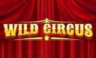 Wild Circus slot game