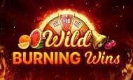 play Wild Burning Wins: 5 Lines online slot