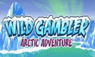 play Wild Gambler Arctic Adventure online slot