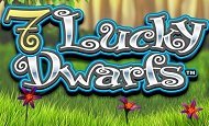 play 7 Lucky Dwarfs online slot
