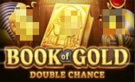 play Book of Gold: Double Chance online slot