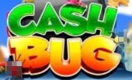 cash bug slot