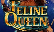 play Feline Queen Online Casino
