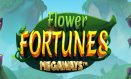 Flower Fortunes Megaways Online Slot