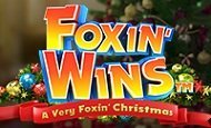 Foxin Wins Christmas