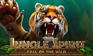 play Jungle Spirit: Call of the Wild online slot