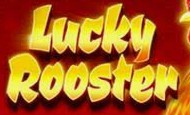Lucky Rooster slot game
