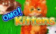 play OMG Kittens online slot