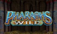 play Pharaohs Wild online slot