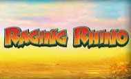 Raging Rhino slot game
