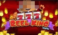 play Reel King Mega online slot