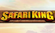 Safari King slot game