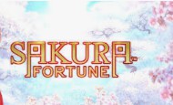 Sakura Fortune slot game