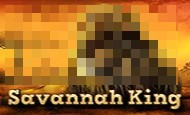 Savannah King slot game