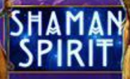 Shaman Spirit slot game