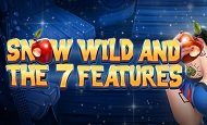 play Snow Wild and the 7 features online slot